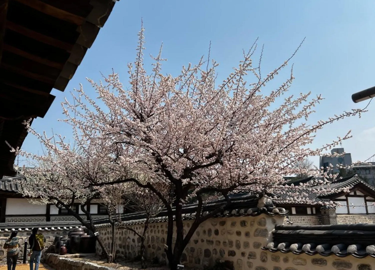 Lägenhet 3-Warm Newly-Build Apt Near Dongdaemun History & Culture Park Station Seoul